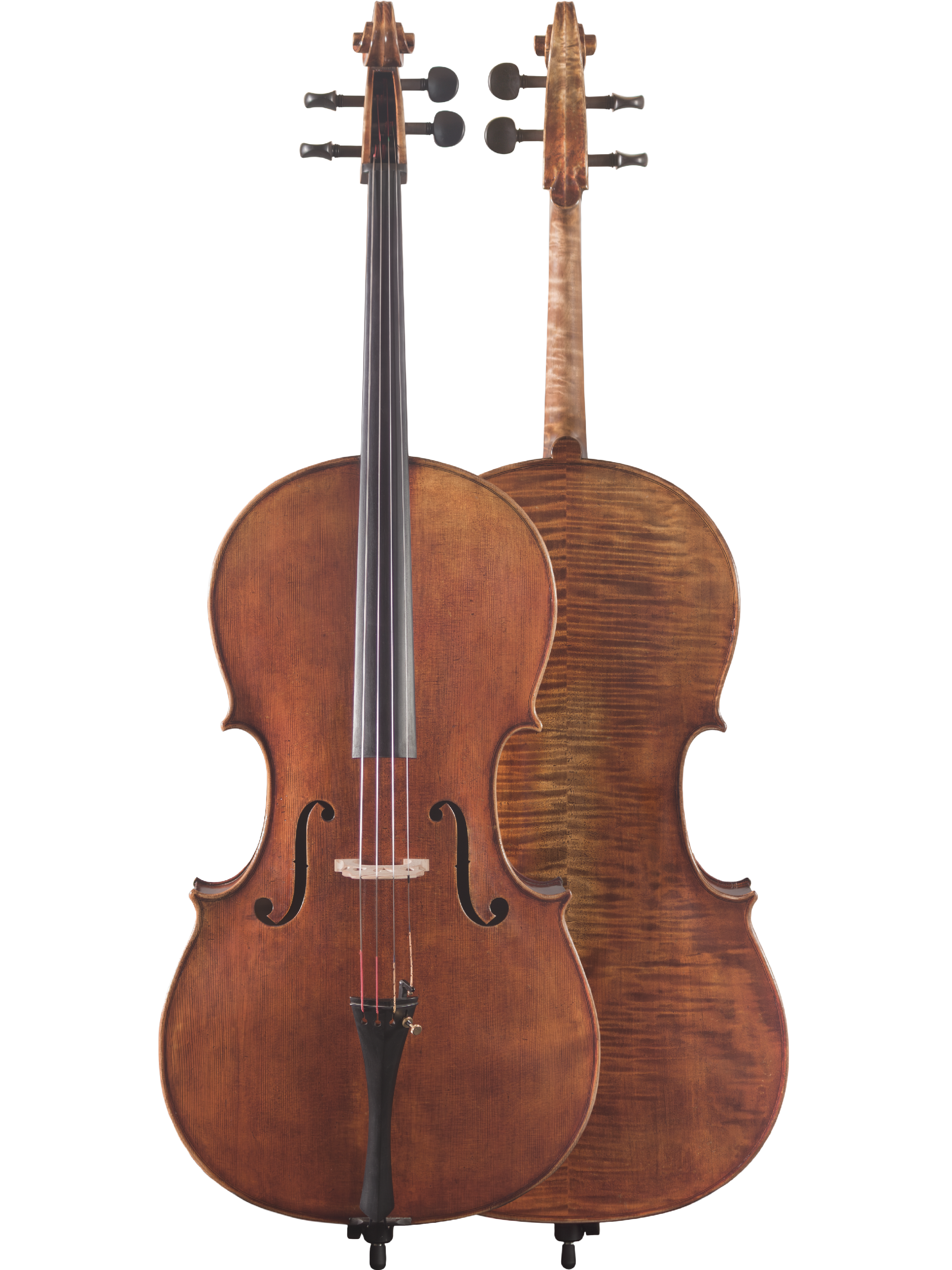 Lady Claire Cello — Maple Leaf Strings